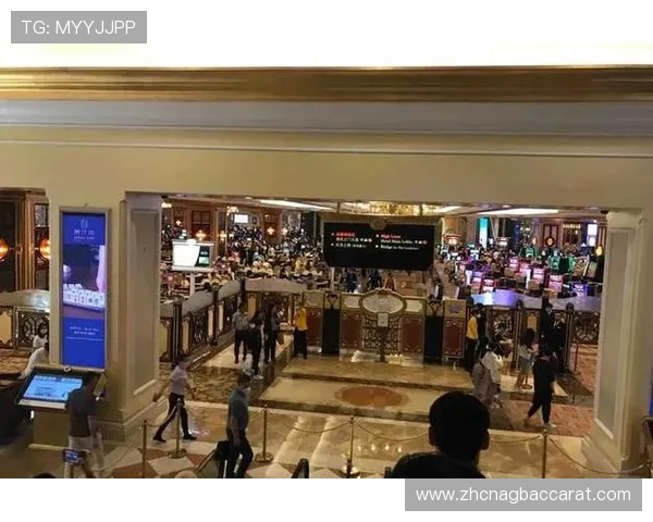 百家乐荷官在游戏中的角色与职责详解提升游戏公平性与玩家满意度的实用指南
